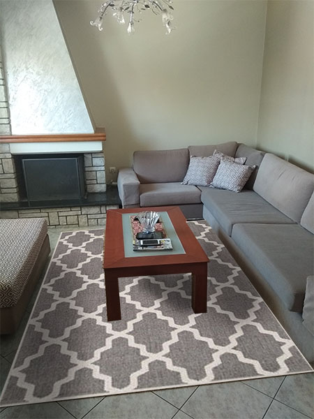 evi living room grey rug 01